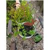 Image 10 : Cast Iron Lamb Figure w/ Antique Succulent Planter Lot
