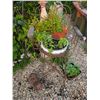 Image 2 : Cast Iron Lamb Figure w/ Antique Succulent Planter Lot