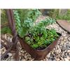 Image 8 : Cast Iron Lamb Figure w/ Antique Succulent Planter Lot
