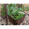Image 9 : Cast Iron Lamb Figure w/ Antique Succulent Planter Lot
