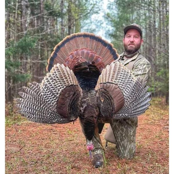 3-Day Guided Iowa Turkey Hunt for 1 with Cottonwood Bottoms LLC- 
