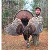 Image 1 : 3-Day Guided Iowa Turkey Hunt for 1 with Cottonwood Bottoms LLC- 