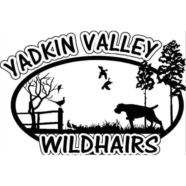 Yadkin Valley Wild Hairs Full-Day Upland Bird Hunt for 1–2 Hunters