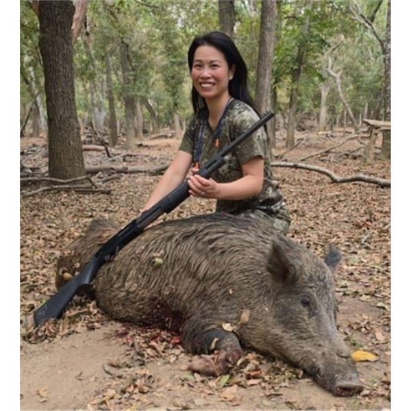 3-Day / 2-Night Texas Wild Hog Hunt for 2 at Independence Ranch