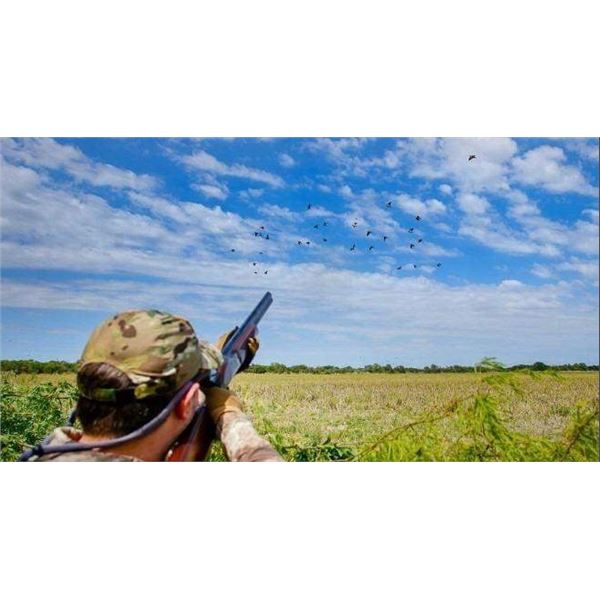 Argentina Dove Hunt for 8 with Gerhart Outdoors