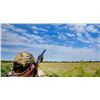 Image 1 : Argentina Dove Hunt for 8 with Gerhart Outdoors