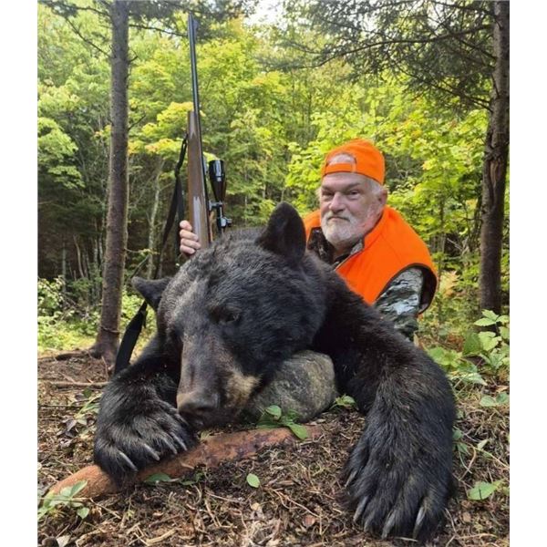 50% Off Certificate – New Brunswick Black Bear Hunt for 1 with Owl Lake Outfitters