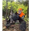 Image 1 : 50% Off Certificate – New Brunswick Black Bear Hunt for 1 with Owl Lake Outfitters