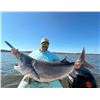 Image 1 : Half Day Oklahoma Paddlefish Experience for 4 with OPG Guide Service