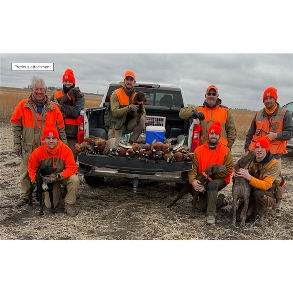 3 Day 4 Night Pheasant Hunt in North Central Iowa for 4
