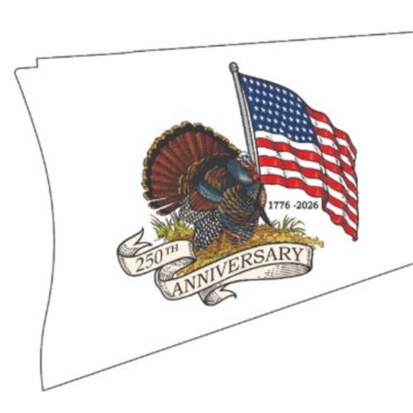 Custom engraved 1776-2026 Henry H001 .22