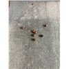 Image 3 : Copperhead Easy Pour Container Copper Coated Premium BBS - 6000 PCS