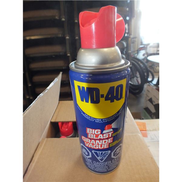 Case 12 Of WD-40 Big Blast