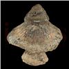 Image 2 : E.T.: The Extra-Terrestrial - Spaceship Mushroom - 62-45