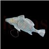 Image 2 : I Know What You Did Last Summer – Fish Hat - 62-1