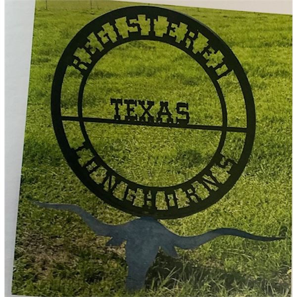Metal Longhorn Sign - 5’x5