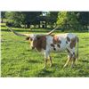 Image 1 : LAER BECKY'S PAINT