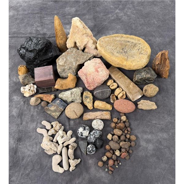 Collection of Fossils and Mineral Specimens