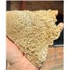 Image 5 : Botryoidal Calcite Mineral Specimen