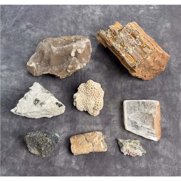 Collection of Mineral Specimens