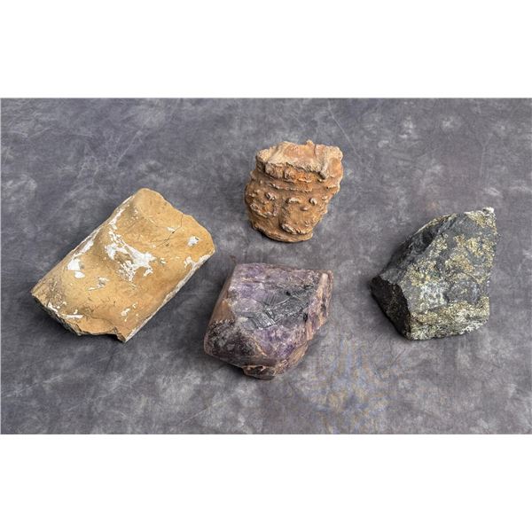 Collection of Mineral Specimens and Fossils