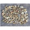 Image 1 : Jewelry Grade Montana Agate Rough