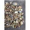 Image 4 : Jewelry Grade Montana Agate Rough