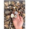 Image 5 : Jewelry Grade Montana Agate Rough