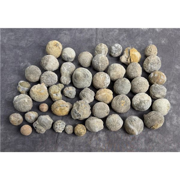 Collection of Concretion Geodes