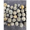 Image 3 : Collection of Concretion Geodes