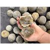 Image 5 : Collection of Concretion Geodes