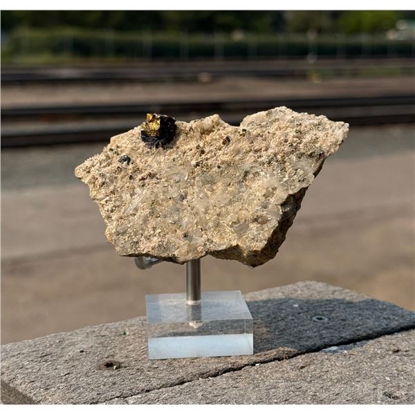 Butte Montana Covellite Mineral Specimen