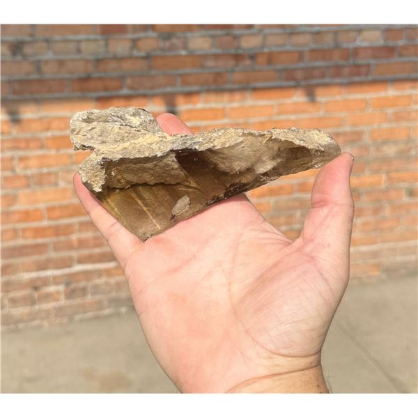 Smoky Quartz Crystal with Inclusions