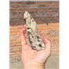 Image 2 : Smoky Quartz Crystal with Inclusions