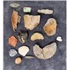 Image 1 : Collection of Fossils
