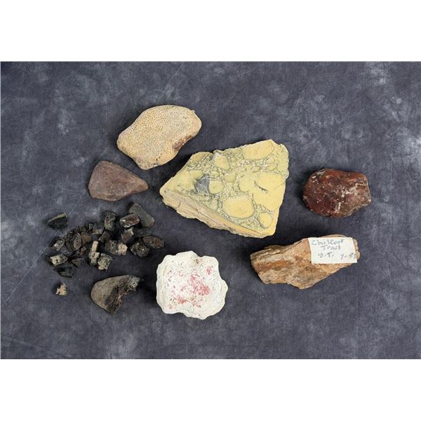 Collection of Mineral Specimens and Fossils