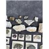 Image 7 : Montana Mineral Specimen Collection