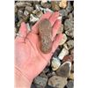 Image 4 : Jewelry Grade Montana Agate Rough