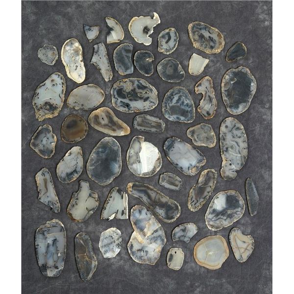 Jewelry Grade Montana Agate Slabs