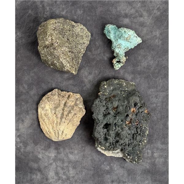 Collection of Mineral Specimens and Fossils