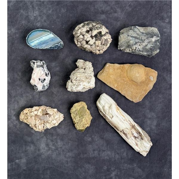Collection of Mineral Specimens and Fossils