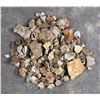 Image 1 : Botryoidal Grape Agate