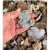 Image 3 : Botryoidal Grape Agate
