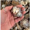 Image 5 : Botryoidal Grape Agate