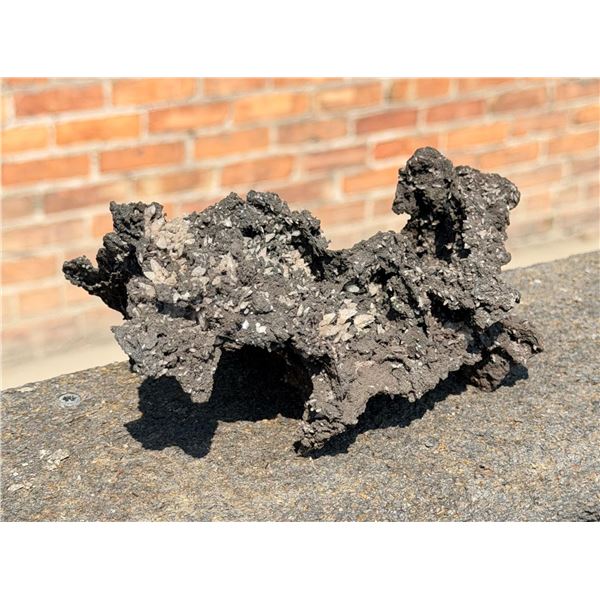Fulgarite Fossilized Lightning Mineral Specimen