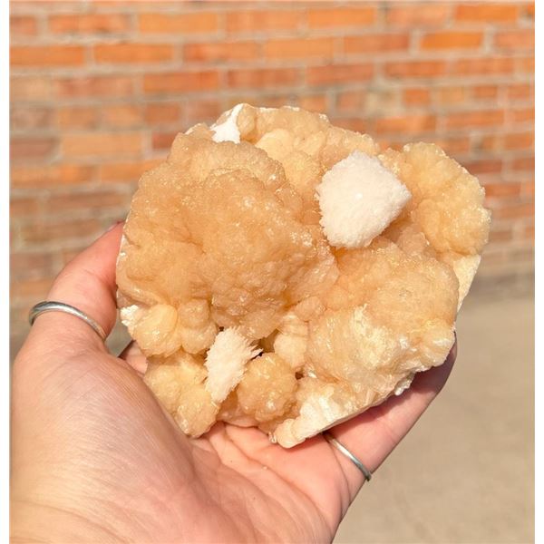 Scolecite on Pink Stilbite Mineral Specimen