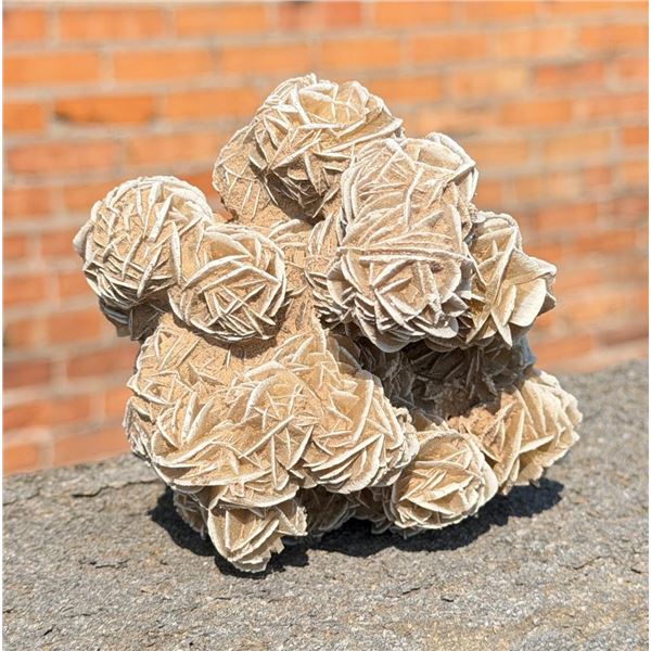 Gypsum Barite Desert Rose Mineral Specimen
