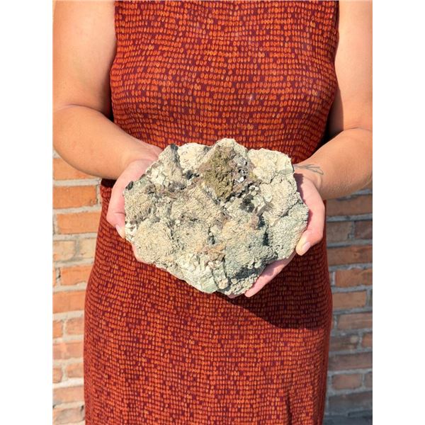 Butte Montana Pyrite and Quartz Mineral Specimen