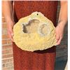 Image 1 : Domed Calcite Geode Mineral Specimen
