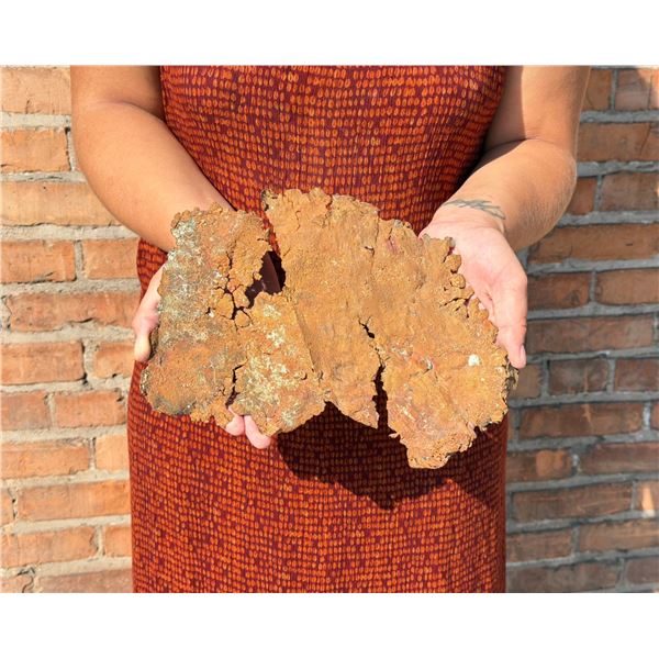 Butte Montana Native Copper Mineral Specimen